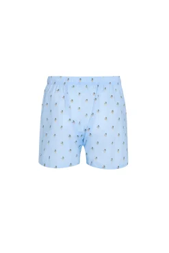Calzoncillos print patos