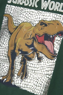Camiseta de Jurassic Park de niño