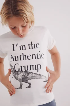 Camiseta dinosaurio niño