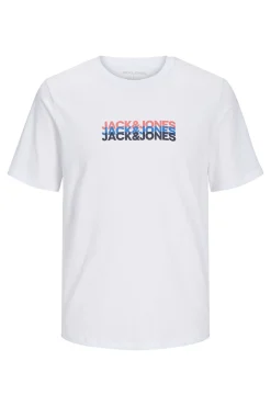 Camiseta estándar fit