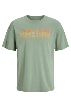 Camiseta estándar fit logo