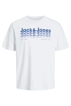 Camiseta estándar fit logo