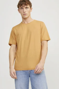 Camiseta lisa