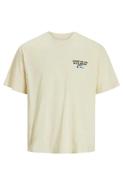 Camiseta loose fit manga corta