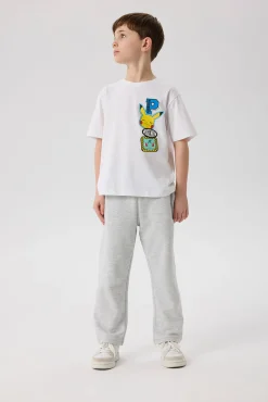Camiseta Pokemon
