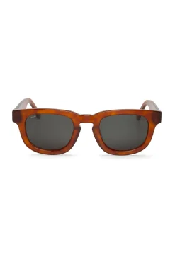 Gafas de sol siesta