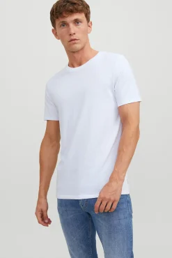 Pack 2 camisetas regular fit