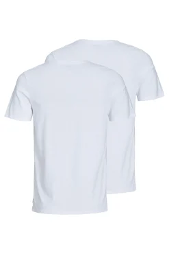 Pack 2 camisetas regular fit