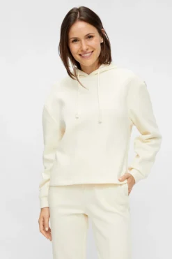 Sudadera básica capucha
