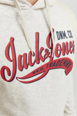 Sudadera capucha estándar