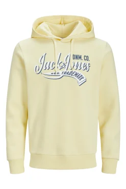 Sudadera capucha estándar