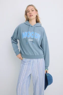 Sudadera capucha felpa algodón gris