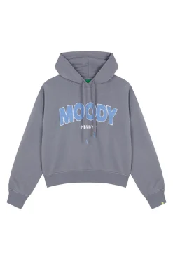Sudadera capucha felpa algodón gris