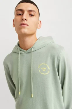 Sudadera estándar fit capucha