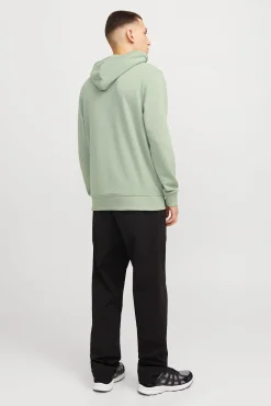 Sudadera estándar fit capucha