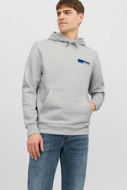 Sudadera estándar fit capucha