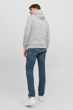Sudadera estándar fit capucha