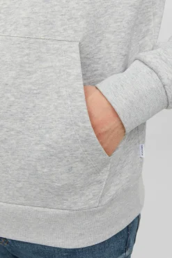 Sudadera estándar fit capucha