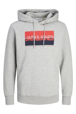 Sudadera estándar fit capucha